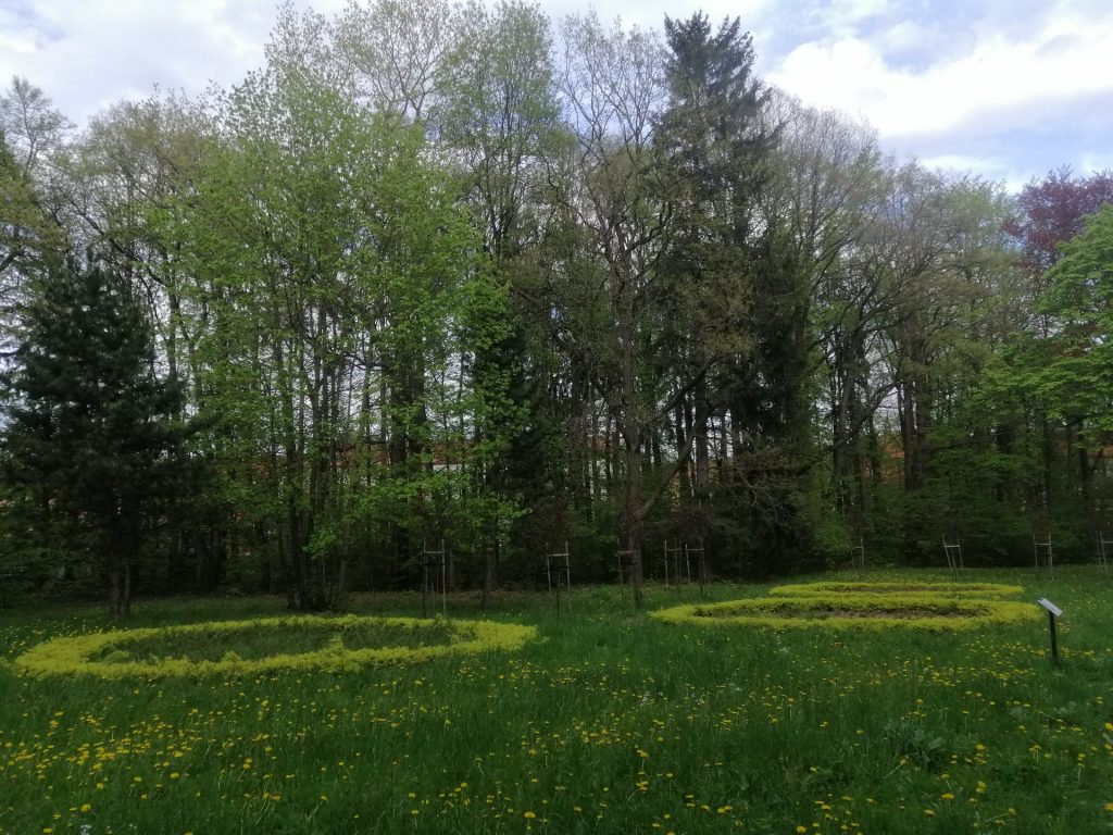 Park Rusinowa w Wałbrzychu