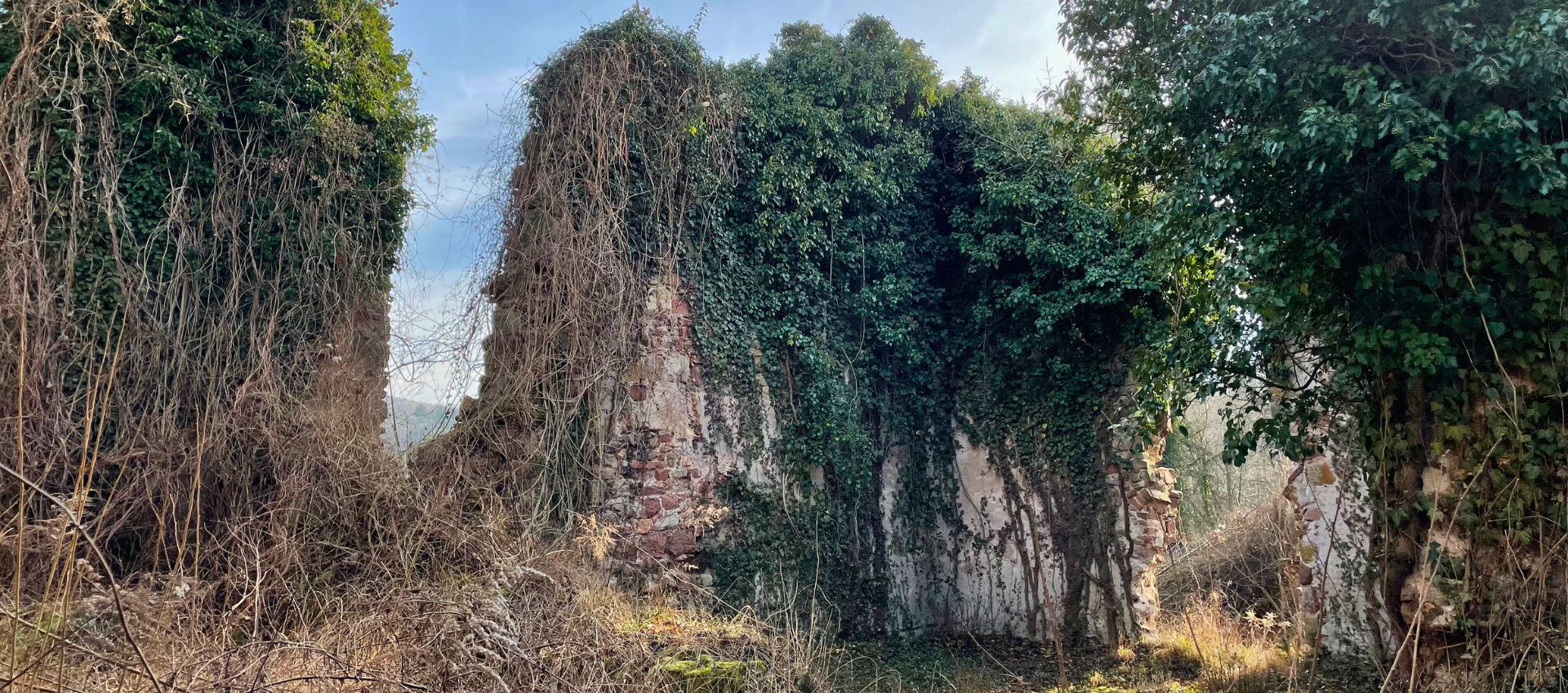 Ruiny późnoromańskiego kościoła Najświętszej Marii Panny we wsi Nowy Kościół k. Złotoryi